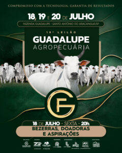 19-leilao-guadalupe-agropecuaria-bezerras-doadoras-e-aspiracoes