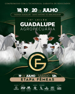 19-leilao-guadalupe-agropecuaria-etapa-femeas