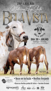 26-leilao-virtual-matrizes-top-leite-bela-vista