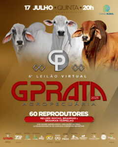6-leilao-virtual-nelore-g-prata-agropecuaria