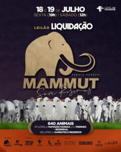 leilao-liquidacao-mammut-sem-reservas