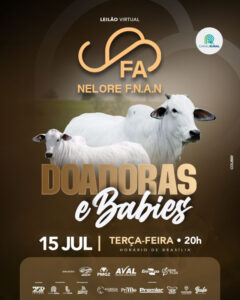 leilao-virtual-nelore-f.n.a.n-doadoras-e-babies