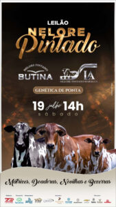leilao-virtual-nelore-pintado-butina-e-la (1)