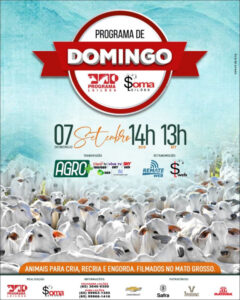 124-programa-de-domingo-programa-e-soma-leiloes