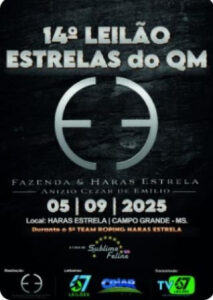 14-leilao-estrelas-do-qm-fazenda-e-haras-estrela