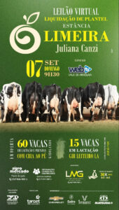 2-leilao-virtual-estancia-limeira