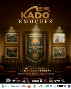 leilao-nelore-kado-emocoes-emocao