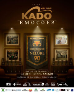leilao-nelore-kado-emocoes-paixao