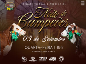 leilao-noite-des-campeoes