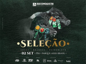 leilao-selecao-reconquista