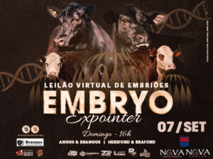 leilao-virtual-de-embrioes-embryo-expointer