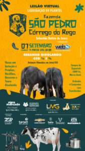 leilao-virtual-liquidacao-fazenda-sao-pedro-corrego-do-rego