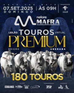 leilao-virtual-nelore-mafra-touros-premium-edicao-uberaba