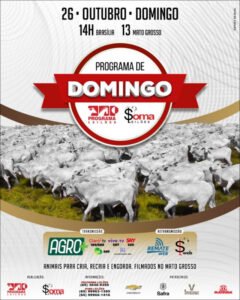 131-programa-de-domingo-progama-e-soma-leiloes