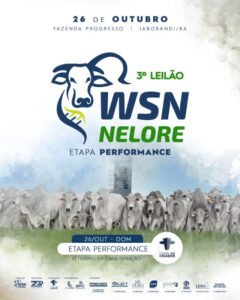 3-leilao-nelore-wsn-nelore-etapa-performance
