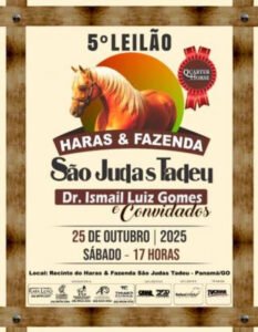 5-leilao-haras-e-fazenda-sao-judas-tadeu