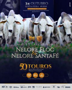 5-touros-nelore-floc-e-santa-fe