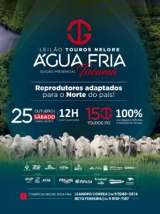 leilao-touros-agua-fria-edicao-presencial-tucuma
