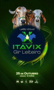 leilao-virtual-fazenda-itavix-gir-leiteiro