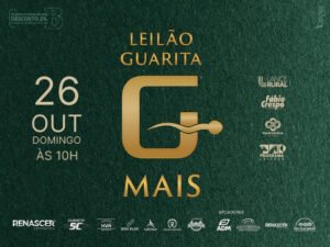 leilao-virtual-guarita-mais