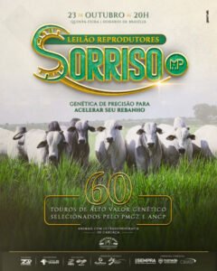 leilao-virtual-reprodutores-nelore-sorriso