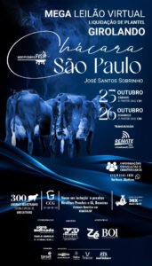 mega-leilao-liquidacao-virtual-chacara-sao-paulo-1-etapa