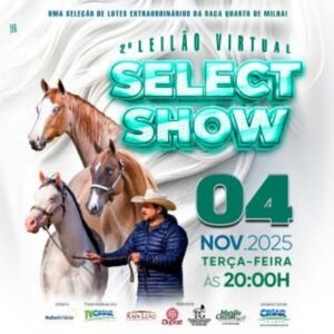 2-leilao-virtual-select-show