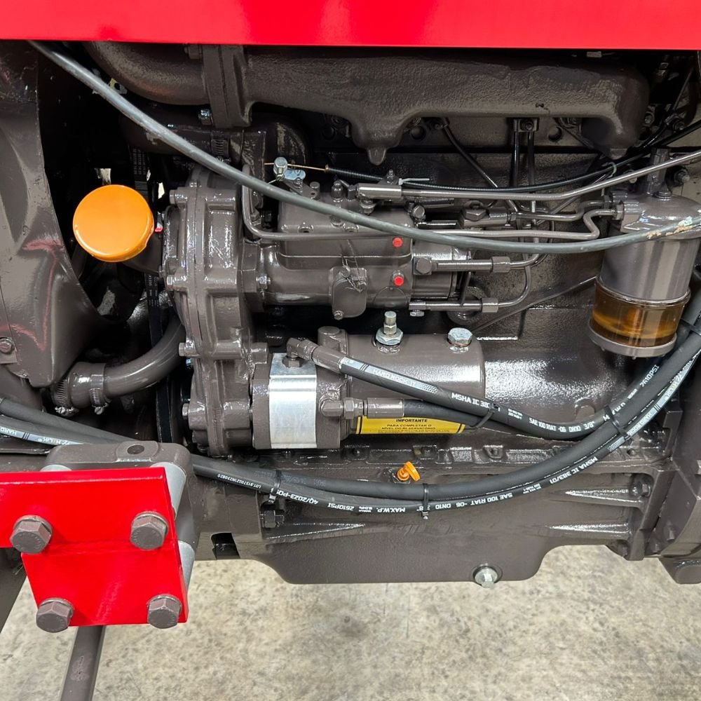 LOTE 29 – TRATOR MASSEY FERGUSON 265 4X2 1976 - Imagem 20