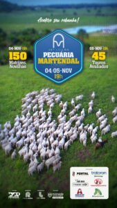 26-leilao-virtual-pecuaria-martendal-e-convidados-2-etapa