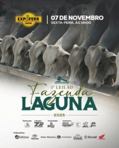 3-leilao-fazenda-laguna-expoferr-2025