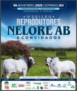 3-leilao-reprodutores-nelore-ab-convidados