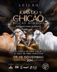 leilao-joias-do-chicao-edicao-roraima