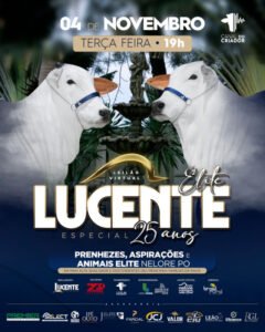 leilao-virtual-elite-lucente-especial-25-anos
