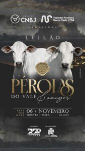 leilao-virtual-perolas-do-vale-amigos
