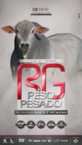 leilao-virtual-touros-rg-peso-pesado