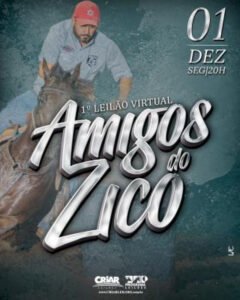 1-leilao-virtual-amigos-do-zico