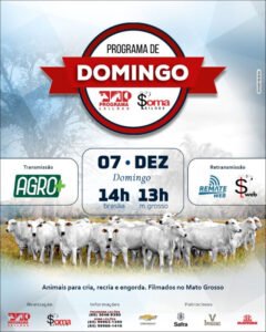 136-programa-de-domingo-programa-e-soma-leiloes