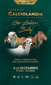 54-leilao-virtual-fazenda-calciolandia-gir-leiteiro-baby