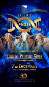 leilao-pmg2b-30-anos-2b