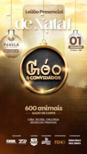 leilao-presencial-de-natal-geo-convidados