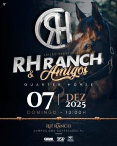 leilao-rh-ranch-e-amigos-quarter-horse