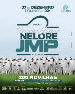 leilao-virtual-femeas-jovens-nelore-jmp