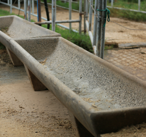 Lote 140 - 15 COCHOS DE CIMENTO