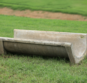 Lote 141 - 11 COCHOS DE CIMENTO