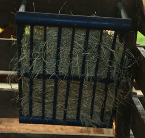 Lote 139 - 10 FENIL DE FERRO