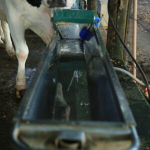 Lote 120 - BEBEDOURO MX