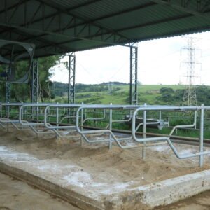 Lote 121 - 10 CONTENÇÕES DUPLAS