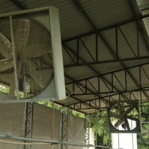 Lote 125 - 3 VENTILADORES WEIZUR