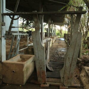 Lote 126 - TRONCO CASQUEADOR