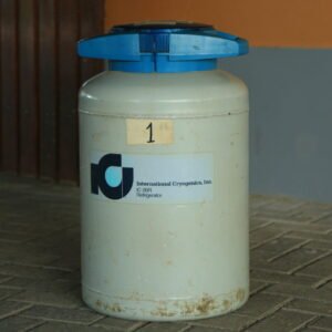 Lote 129 - BOTIJÃO N°1